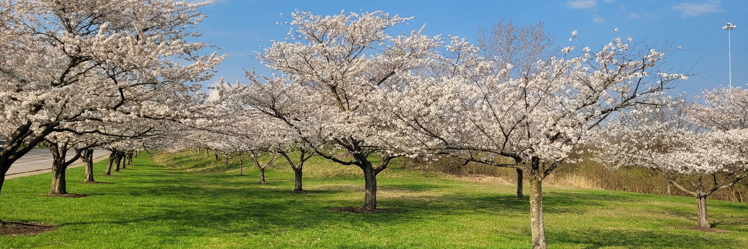Jennifer Sherman banner