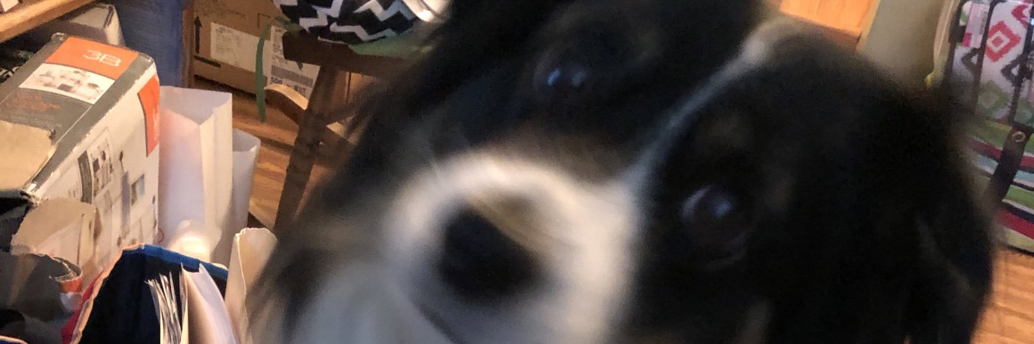 ShanSTibb's profile banner image
