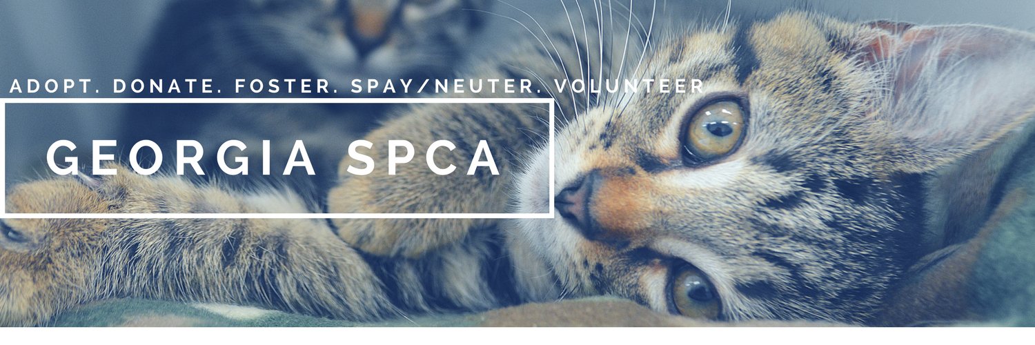 GeorgiaSPCA's profile banner image