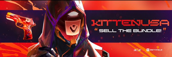 USAvlr Profile Banner