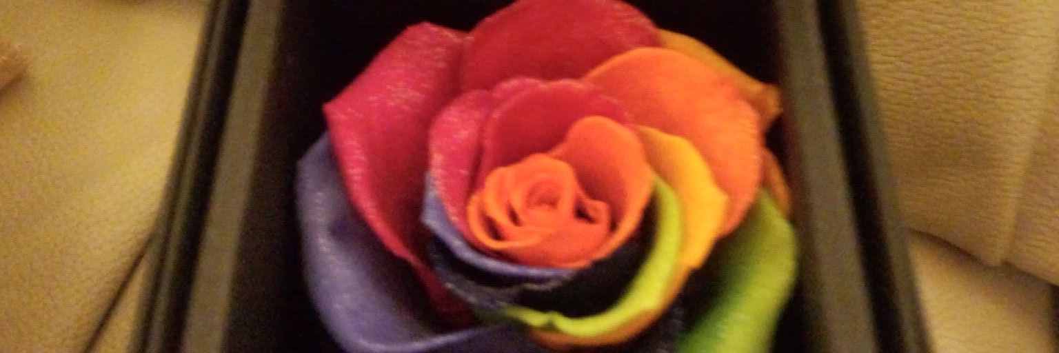 yellowyoko's profile banner image