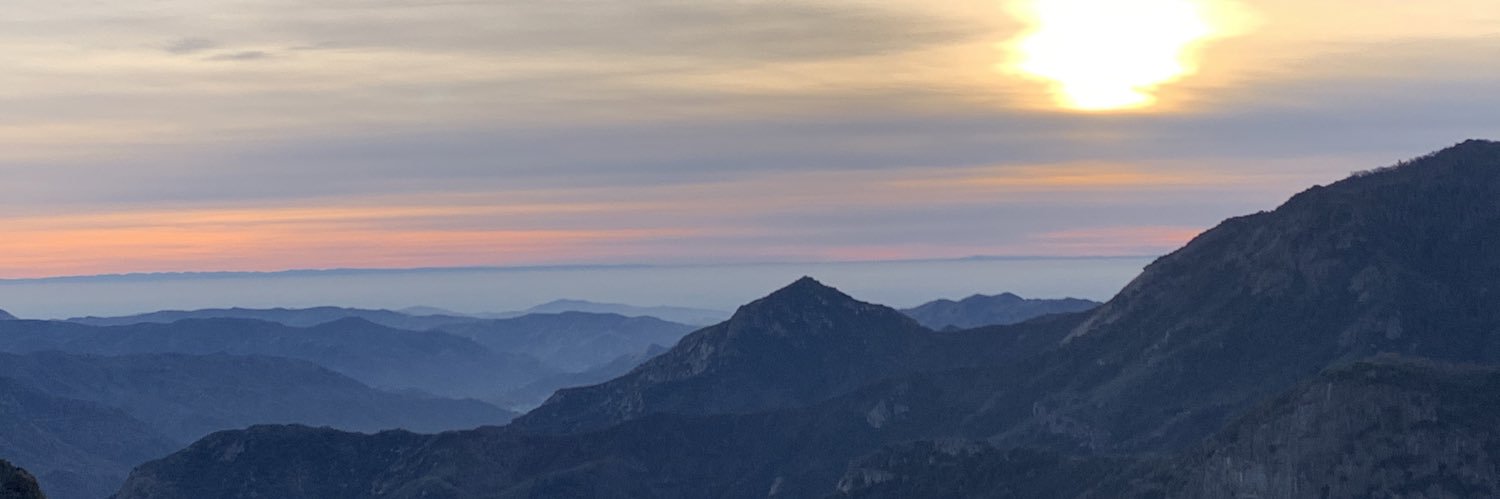 kaitlin przedwojewski✨ banner