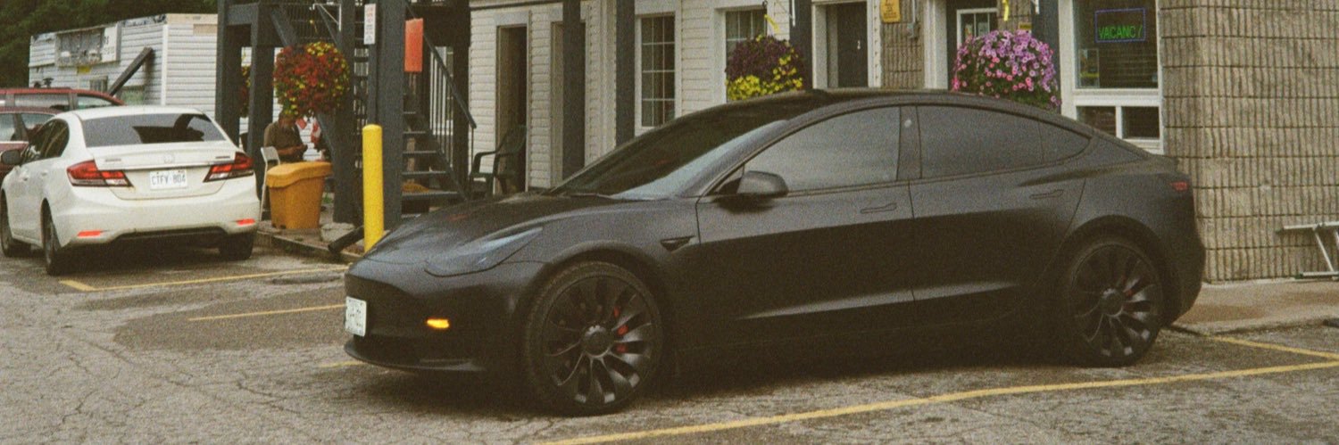 stevdaddario's profile banner image