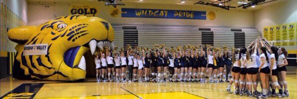 NV_Volleyball Profile Banner
