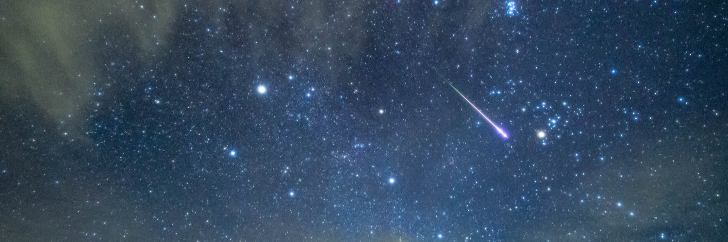 とりも🌕🌸🍀🍖 banner