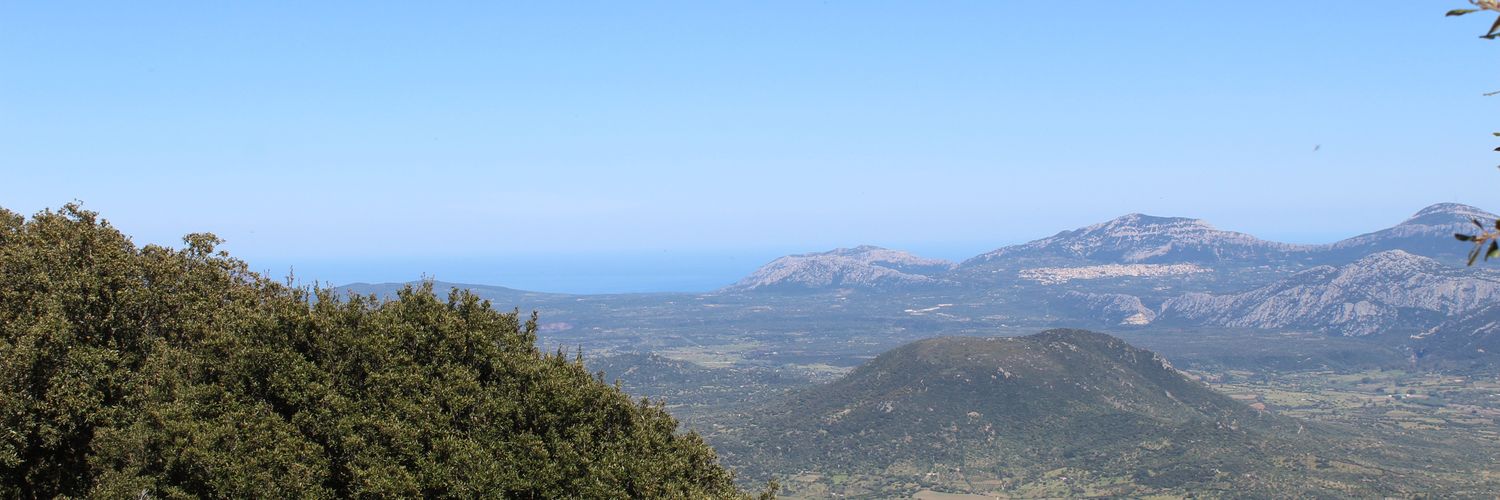 Luca10c banner