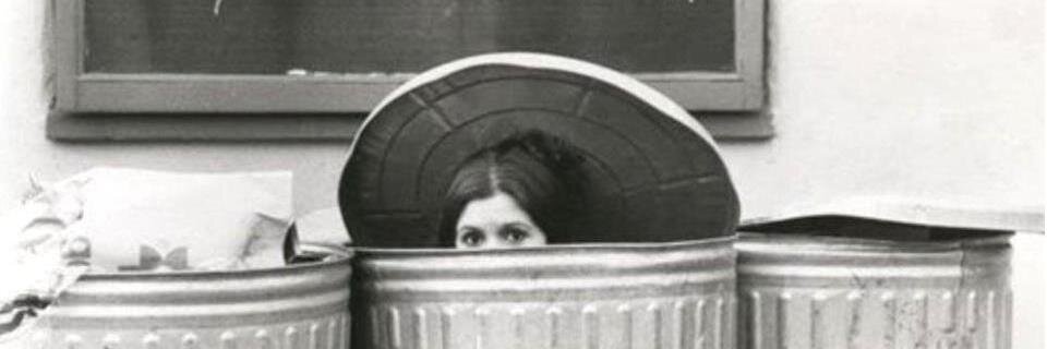 Kitty Knowles banner