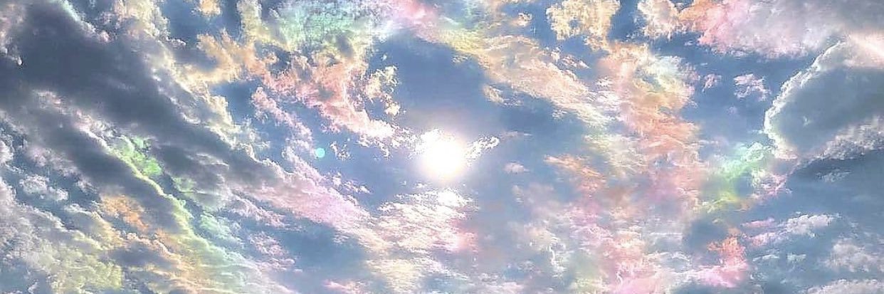 ElleSDTrips's profile banner image