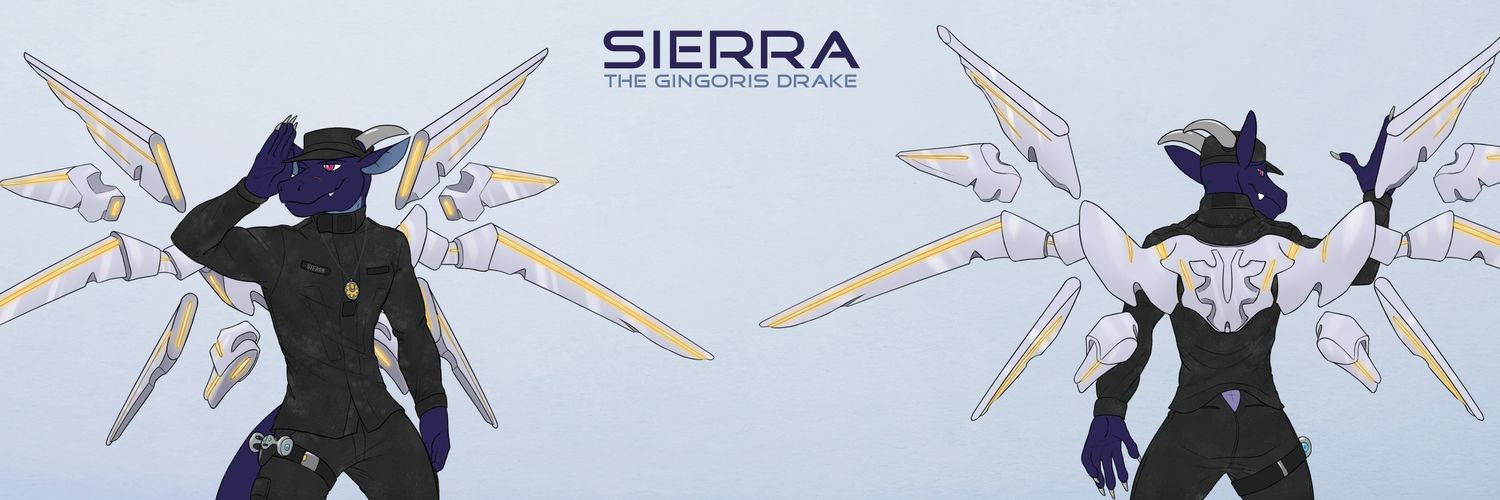 Sierra104 banner