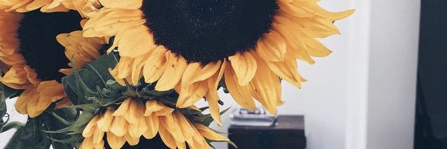 chelsiixoo's profile banner image