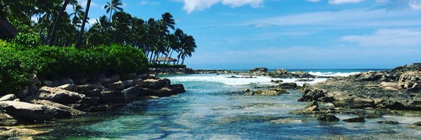 C6H12O6Addict Profile Banner