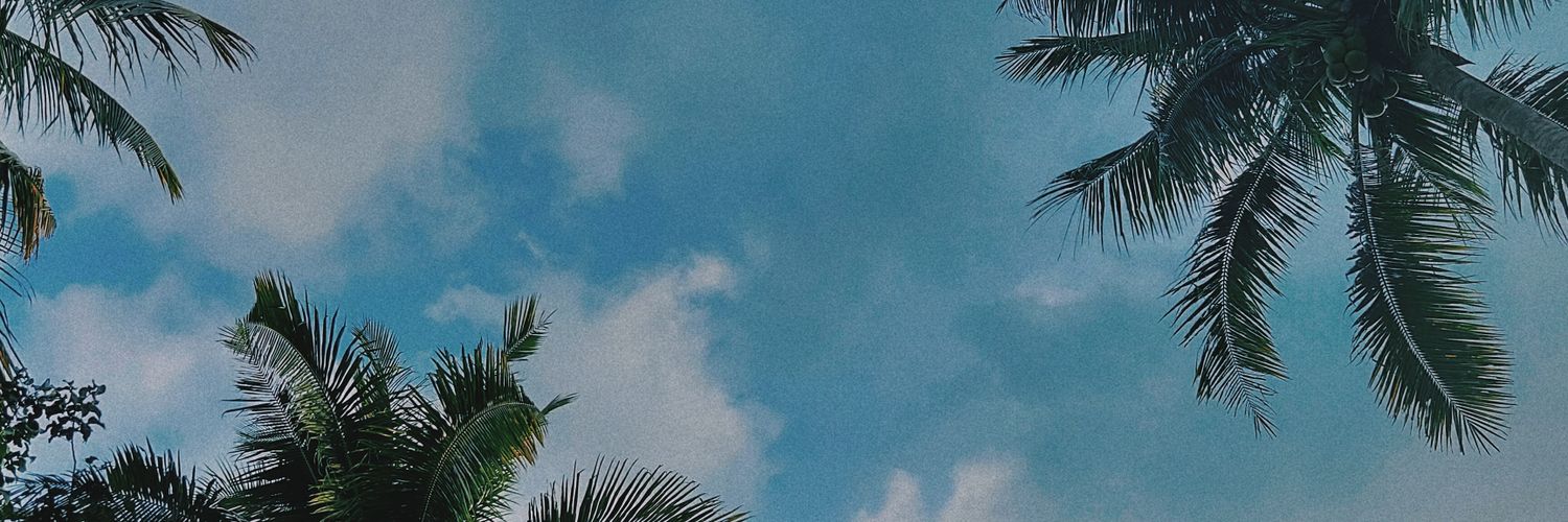 pon971's profile banner image