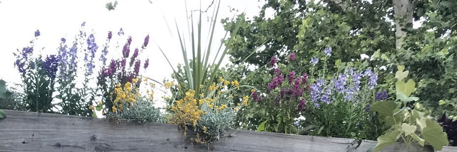 briederella's profile banner image