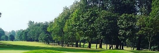 jamzai8's profile banner image