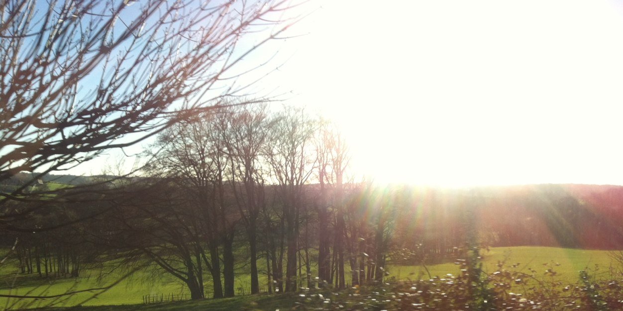 C banner