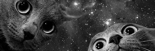 Nelebita's profile banner image