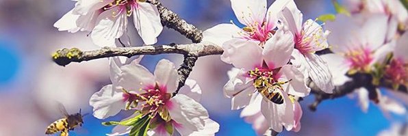 marcia_2B's profile banner image