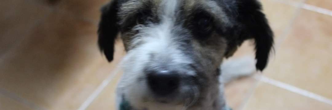 MarOlmedo2's profile banner image