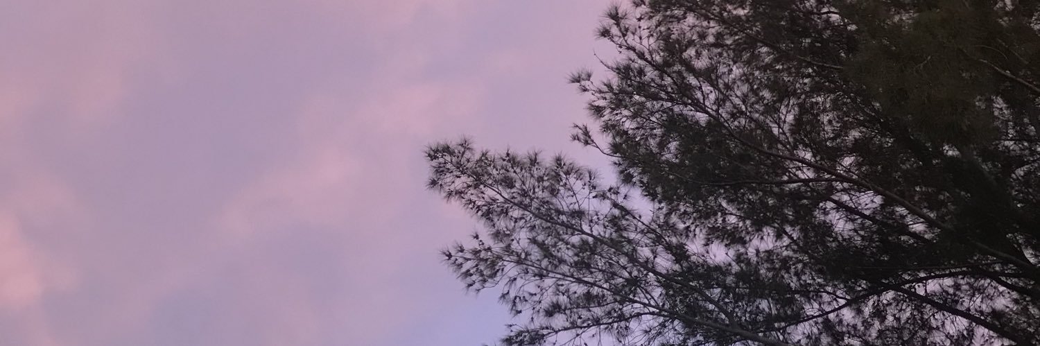 CVMdoe's profile banner image