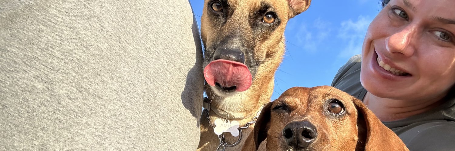 Bruno Remígio, Ph.D. banner