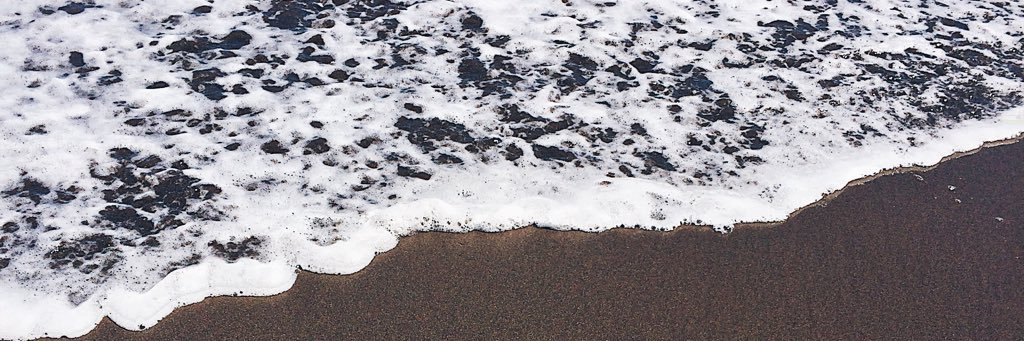 🍍Y C E banner