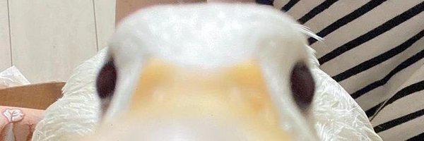 JonathanMVA_ Profile Banner