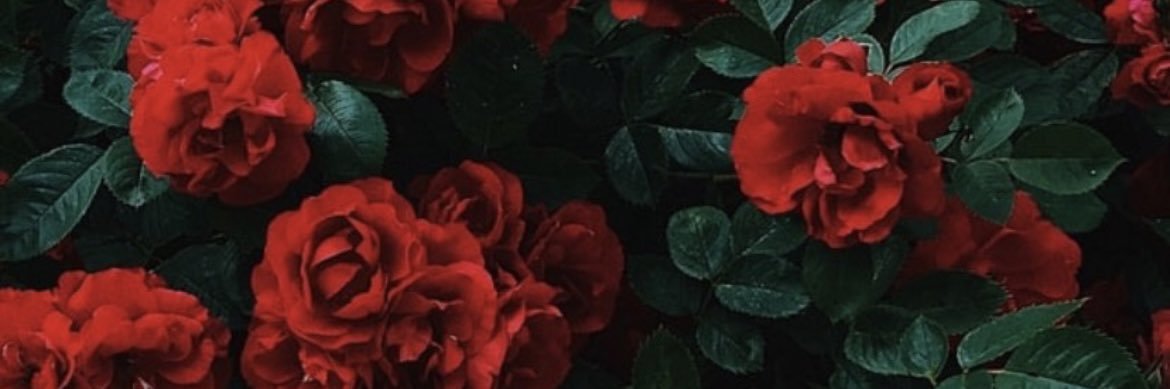 rasheavargas's profile banner image
