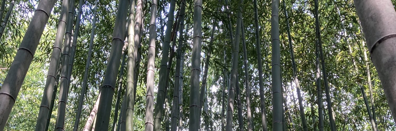 yorichan No.1103 banner