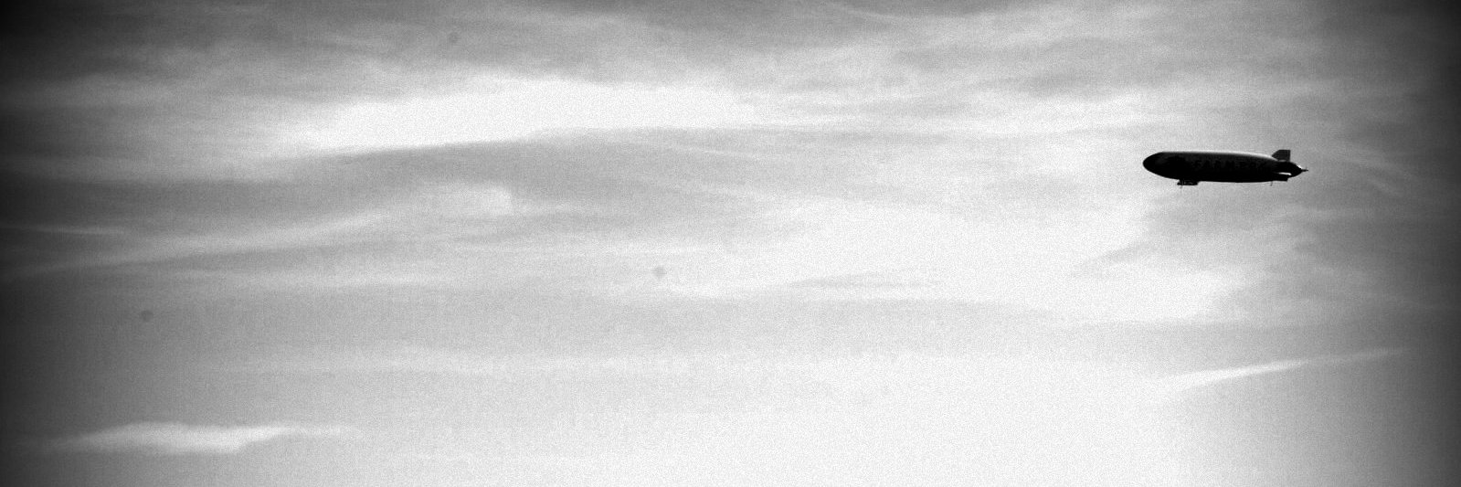 panzerHut's profile banner image