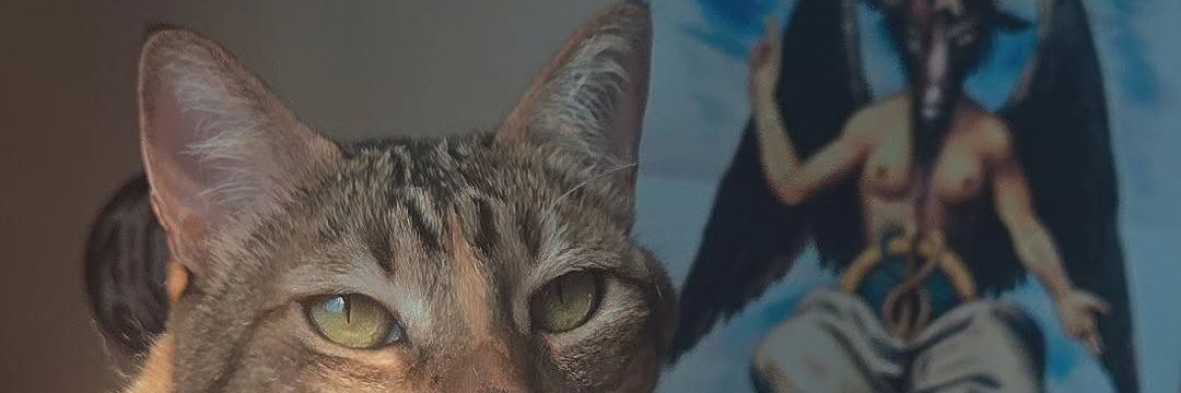 lilGengar7's profile banner image