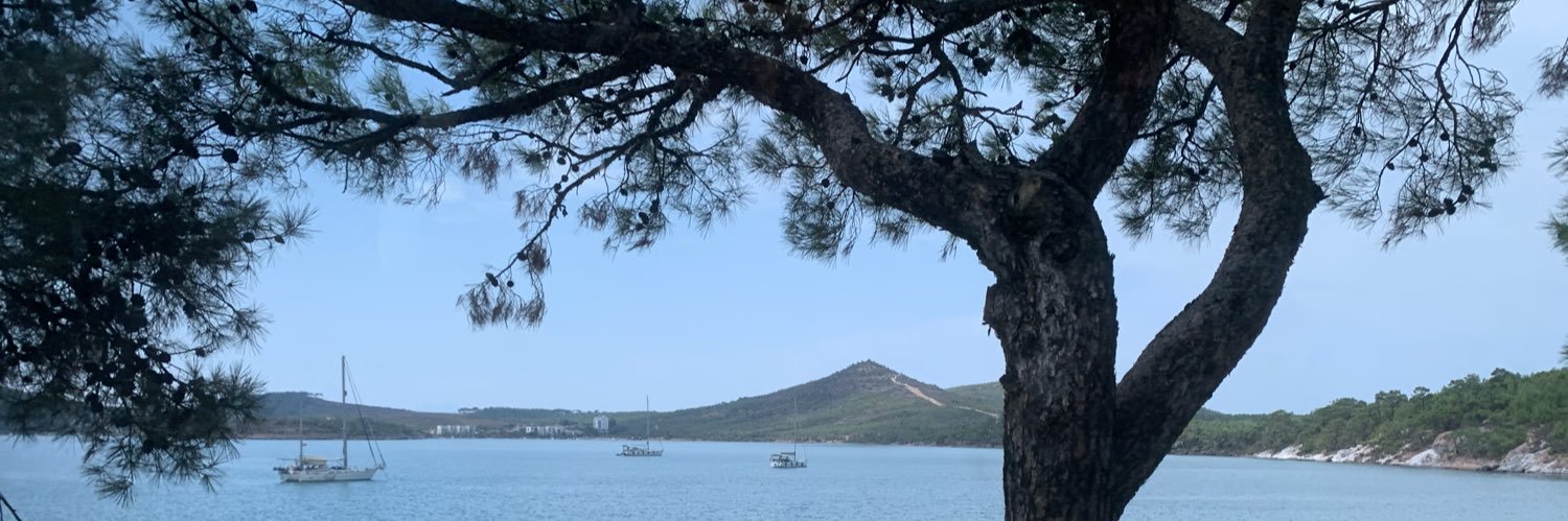 Ecanpolat44's profile banner image