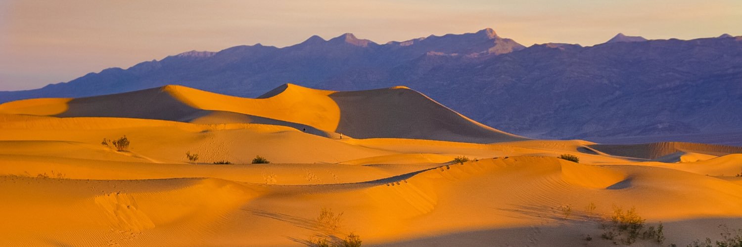 Desert Nomad's banner