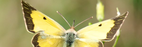 TimTim292 Profile Banner