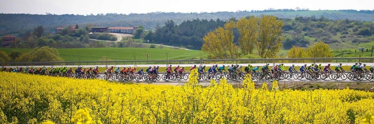X A V I E R 🚴 banner