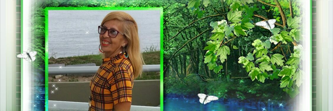 LeiseAlbuquerqu's profile banner image