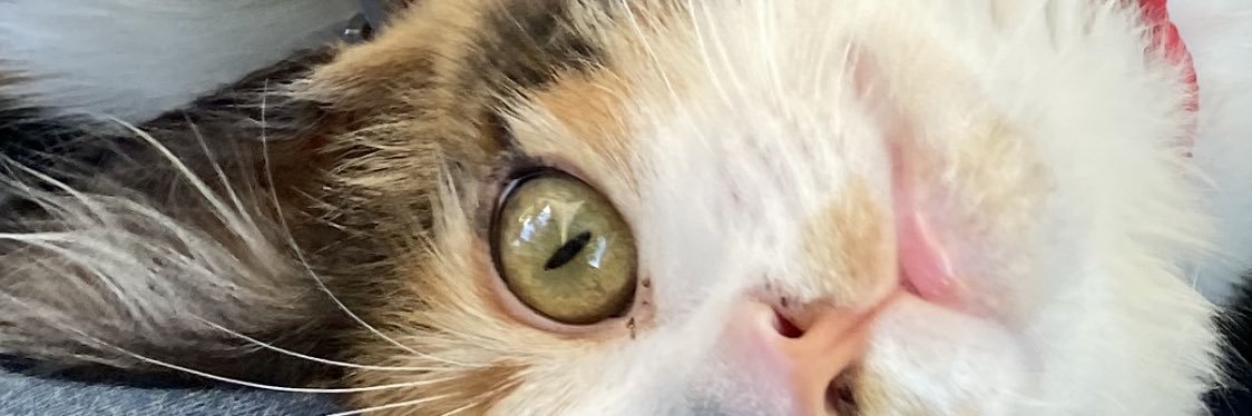 KuhnNuria's profile banner image