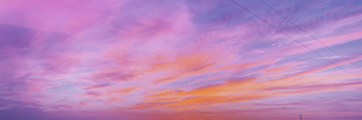 megrenee96's profile banner image
