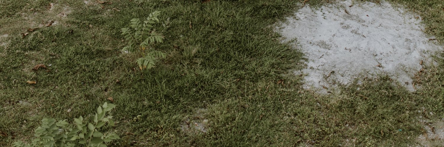 nanaroars's profile banner image