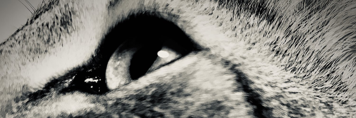MeLook1525's profile banner image
