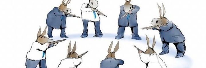 Blue Armadillo banner