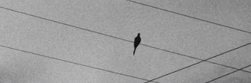 h banner