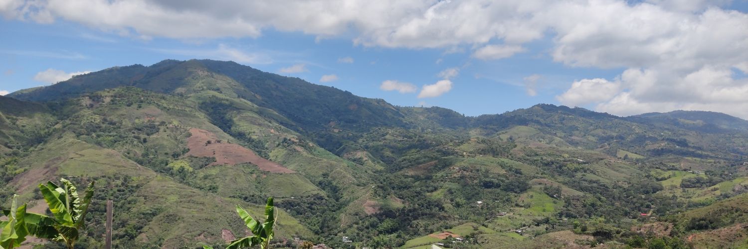 kellylezama's profile banner image