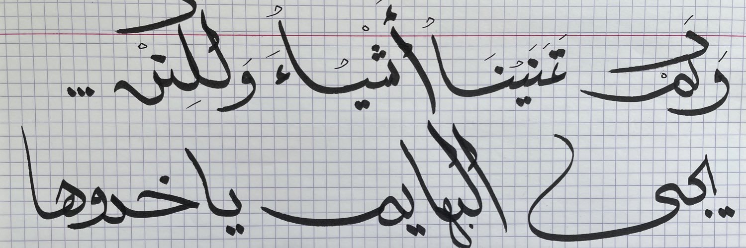 anasmerdan1's profile banner image