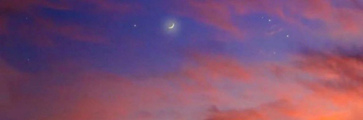 williams_arius's profile banner image
