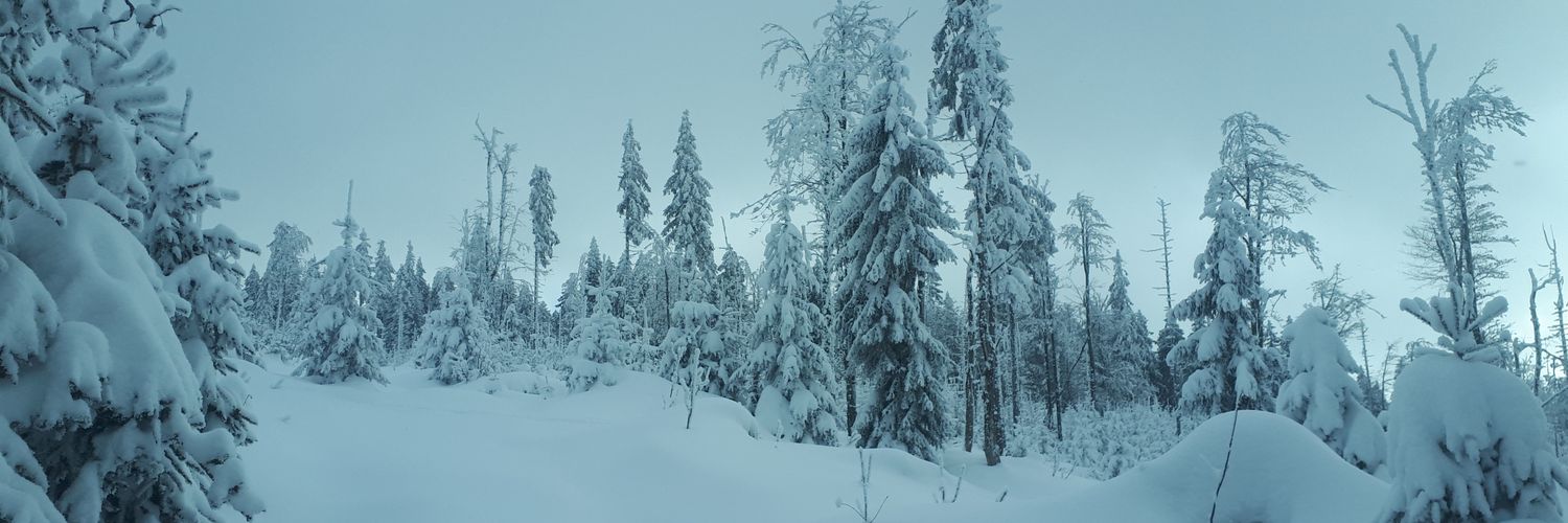 houskaa's profile banner image