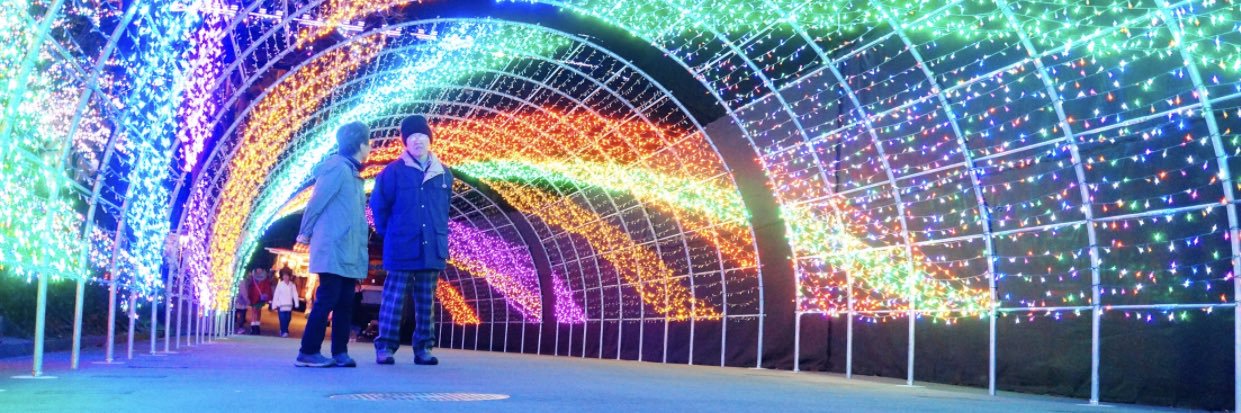 kamo shinichiro banner