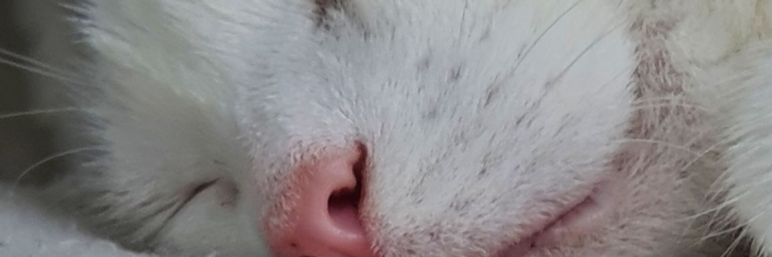 Badder95x's profile banner image
