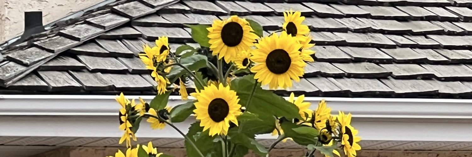 DancelDanielle's profile banner image