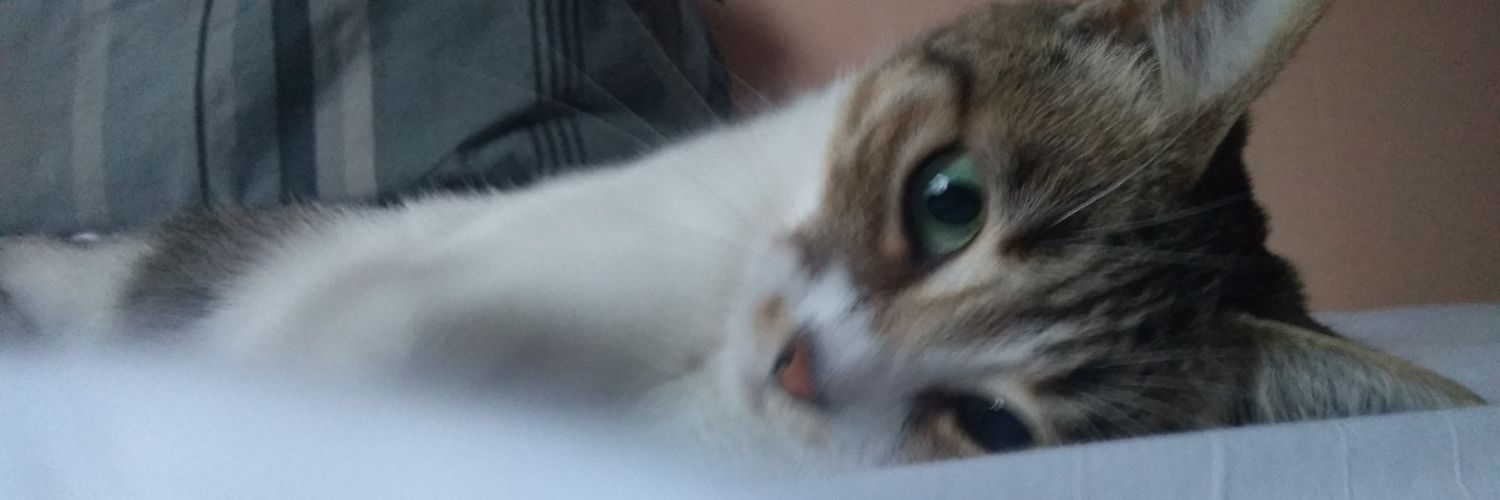 Slodifsh's profile banner image