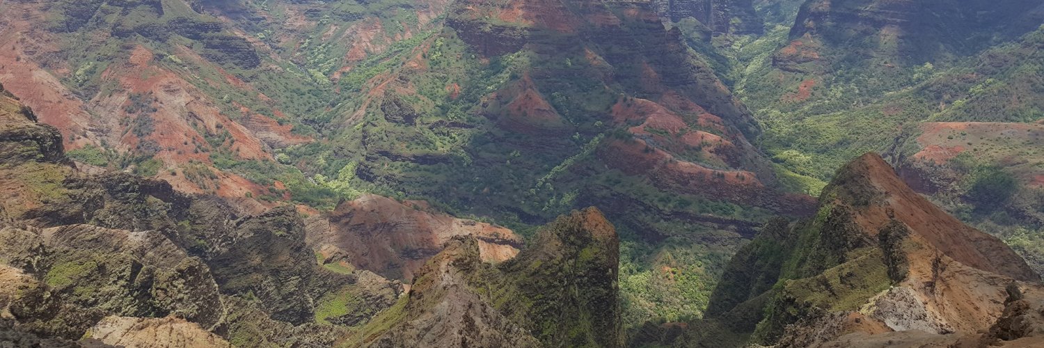 David Wallace banner